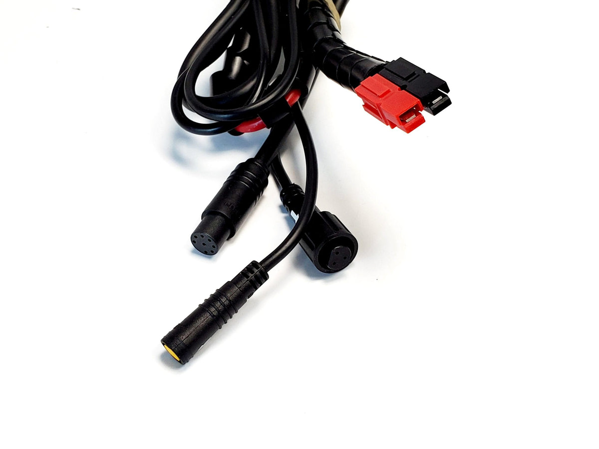 Bafang Controller for 1000W Mid Drive Electric Bike