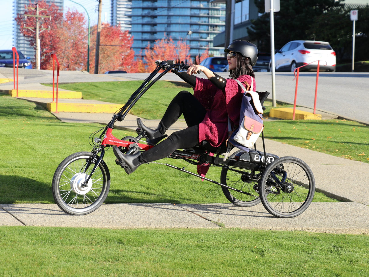 Recumbent Trike Eco-Delta SX 20in by SUNSEEKER