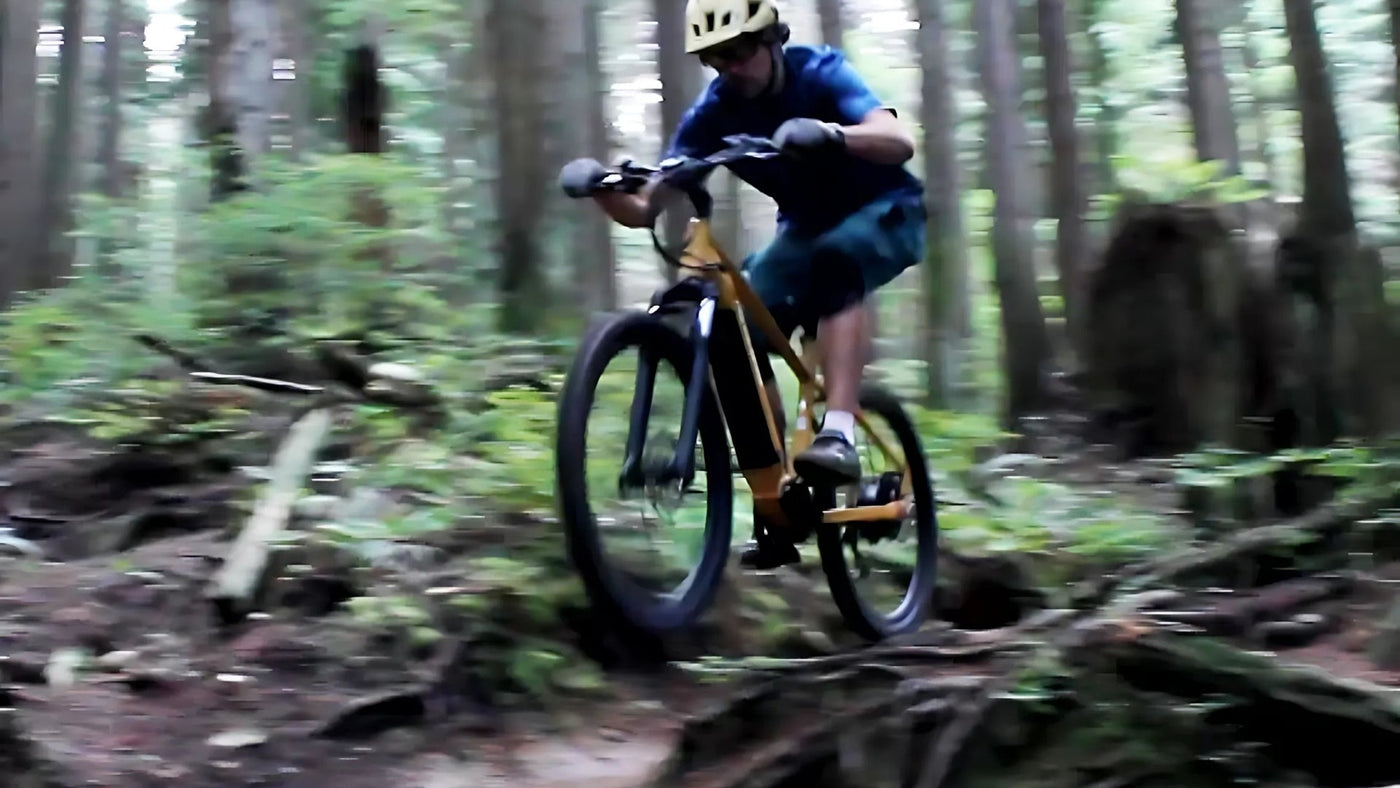 Electric Mountain Bike