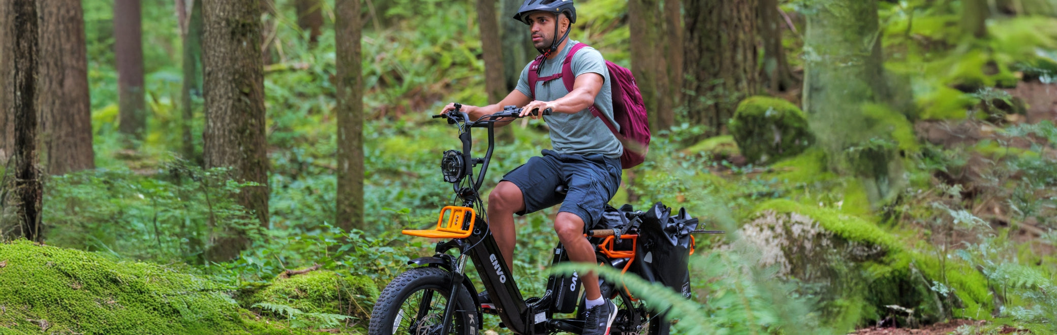 Off-Road Electric Bicycles