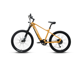 Vélo électrique ENVO D50