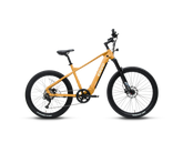 Vélo électrique ENVO D50