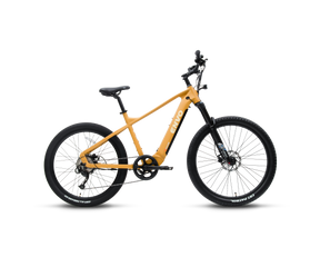 Vélo électrique ENVO D50