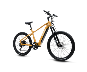 Vélo électrique ENVO D50