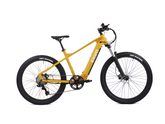 ENVO D50 Electric Mountain Bike (EMTB)