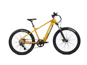 ENVO D50 Electric Mountain Bike (EMTB)