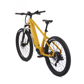 ENVO D50 Electric Mountain Bike (EMTB)