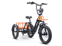 Flex Trike | ENVO Fat Tire Electric Adult Trike