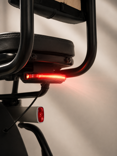REAR & BRAKE LIGHT