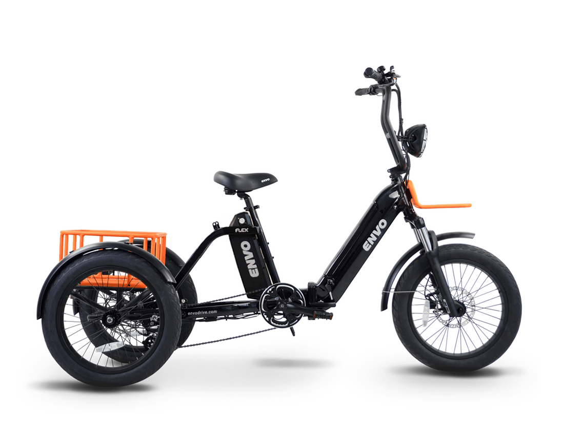 Tricycle électrique AMCargoBikes Cargo 250W - 24 Pouces, Batterie 9Ah, Noir, Neuf
