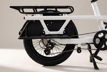 PASSENGER SPOKE GUARD