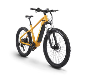 ENVO D50 Electric Mountain Bike (EMTB)