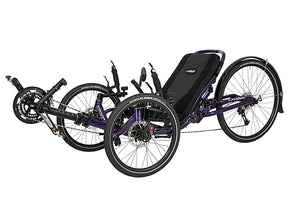 DUMONT CATRIKE Foldable Recumbent Trike